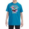 Heavy Cotton™ Youth 5.3 oz. T-Shirt Thumbnail