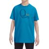 Heavy Cotton™ Youth 5.3 oz. T-Shirt Thumbnail